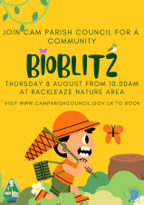 poster of bioblitz: yellow background and child with net