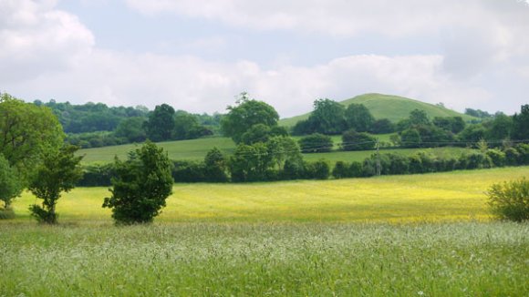 Cam Peak in Spring